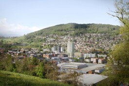 Parkstrasse Frenkendorf