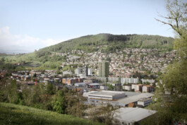 Parkstrasse Frenkendorf